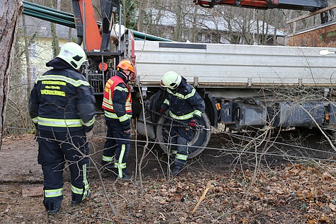 Bild 004 zum Bericht 1646