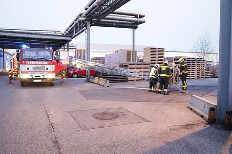 Bild 012 zum Bericht 1654