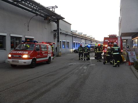Bild 003 zum Bericht 1654