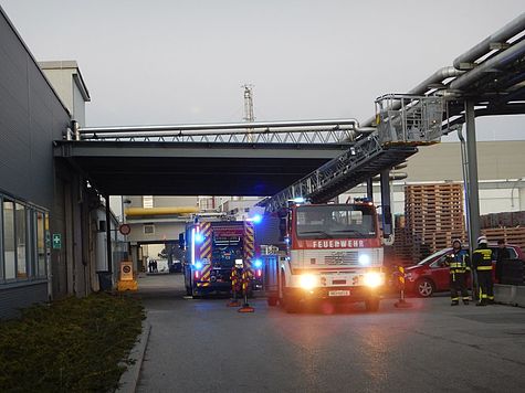 Bild 005 zum Bericht 1654