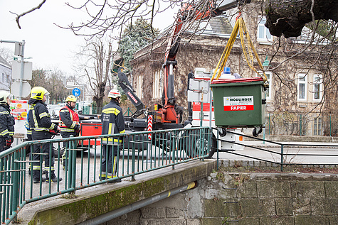 Bild 002 zum Bericht 1660