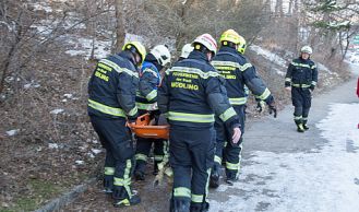 Vorschaubild: Frau stürzt im vereisten Wienerwald