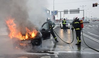 Vorschaubild: Einsatzreiche Tage in Wiener Neudorf: Drei Brände