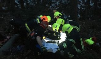 Vorschaubild: Nach Forstunfall: Person in Notlage