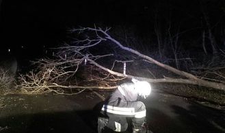 Vorschaubild: Baum blockiert nach Unfall Straße