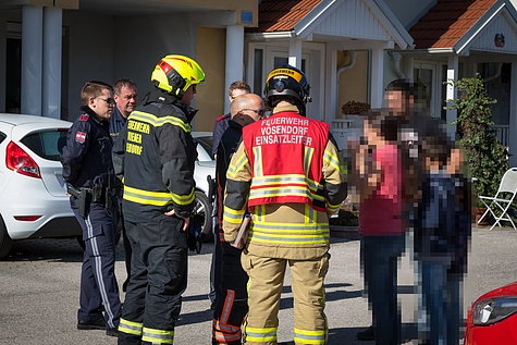 Bild 008 zum Bericht 1687