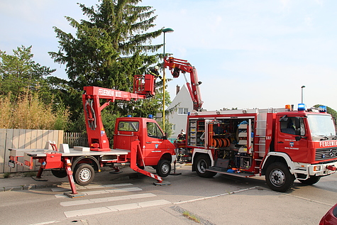 Bild 002 zum Bericht 1702