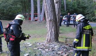 Vorschaubild: Brandstiftung im Waldgebiet