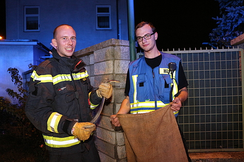 Bild 003 zum Bericht 1751