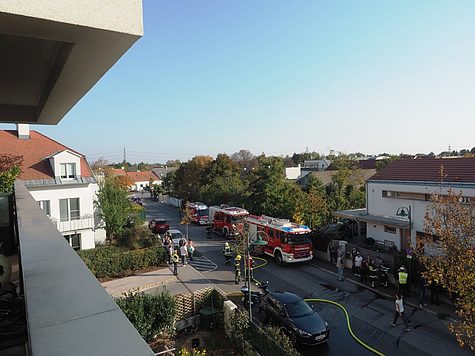 Bild 008 zum Bericht 1757