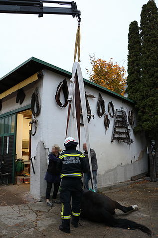 Bild 001 zum Bericht 1761