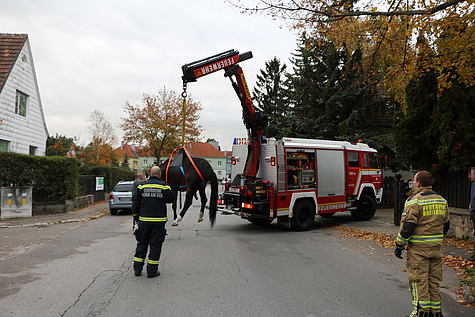 Bild 004 zum Bericht 1761