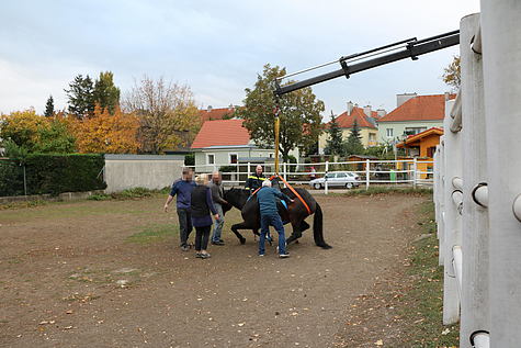 Bild 005 zum Bericht 1761