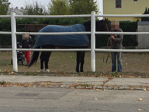Bild 007 zum Bericht 1761