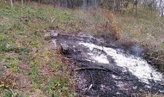 Vorschaubild: Kleinbrand nahe des Waldes gelöscht