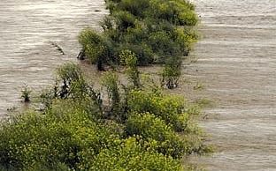 Vorschaubild: Hochwasseralarm: Bezirk Mödling entging knapp der Katastrophe