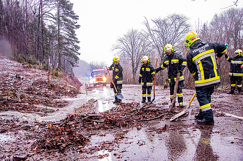 Bild 004 zum Bericht 1791