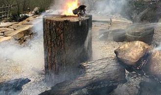 Vorschaubild: Brandverdacht am Waldrand