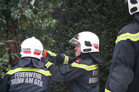Bild 001 zum Bericht 1798