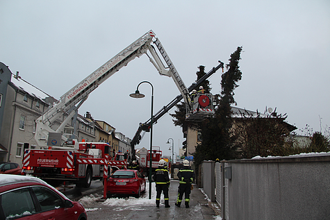 Bild 005 zum Bericht 1798