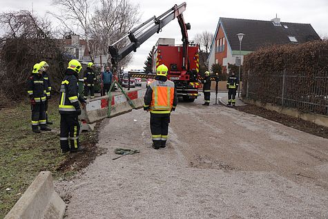 Bild 006 zum Bericht 1801