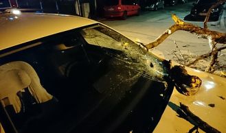 Vorschaubild: Ast beschädigt PKW