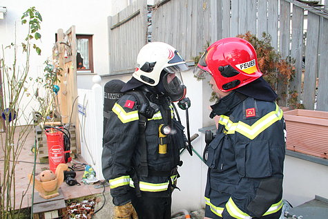 Bild 006 zum Bericht 1808
