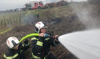 Vorschaubild: Flurbrand in den Weingärten