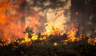 Vorschaubild: Waldbrand beim Sonnleitensteinbruch