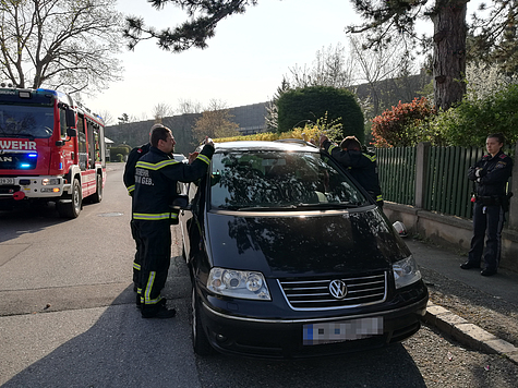 Bild 002 zum Bericht 1848