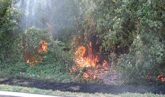 Vorschaubild: Waldbrand an der Weinstraße