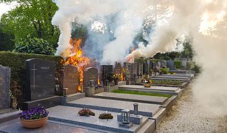 Vorschaubild: Friedhofshecke brannte