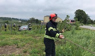 Vorschaubild: Fahrzeugbergung in den Weingärten