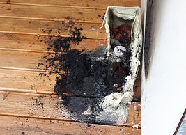 Vorschaubild: Aufmerksamer Hund und couragierte Pflegerin verhindern Brand