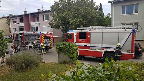 Bild 001 zum Bericht 1878