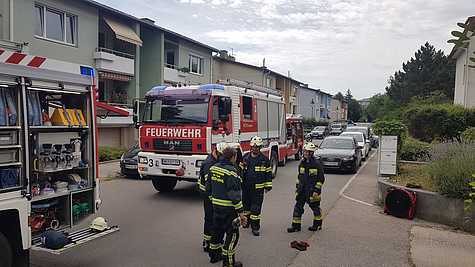 Bild 003 zum Bericht 1878