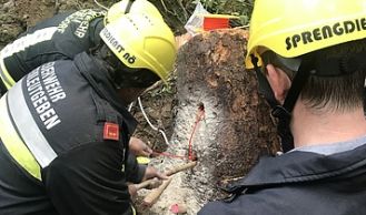 Vorschaubild: Sprengeinsatz in Mönichkirchen