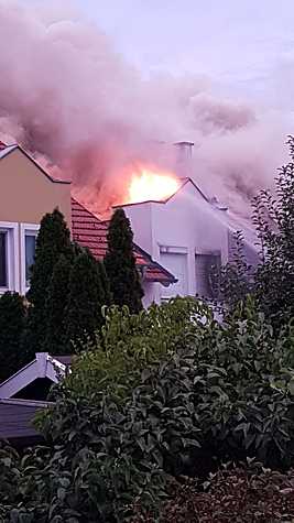 Bild 003 zum Bericht 1890