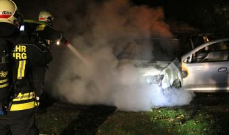 Vorschaubild: Fahrzeugbrand im Schlosspark Laxenburg