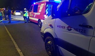 Vorschaubild: Pkw kracht in Vorgarten