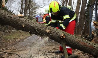 Vorschaubild: Baum blockiert Geh- und Radweg 