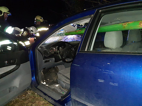 Bild 001 zum Bericht 1948