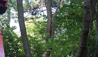 Vorschaubild: Sturmschaden im Waldgebiet