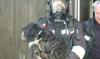 Vorschaubild: Wohnungsbrand mit Tierrettung
