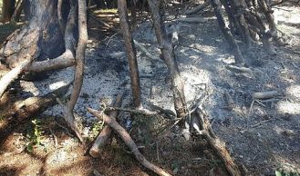 Vorschaubild: Kleinbrand im unwegsamen Gelände