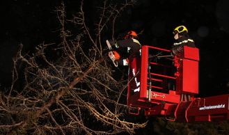 Vorschaubild: Umgestürzter Baum ragt über Straße