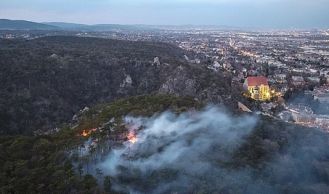 Vorschaubild: Sieben Feuerwehren bei Waldbrand im Einsatz
