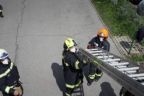 Bild 010 zum Bericht 2033