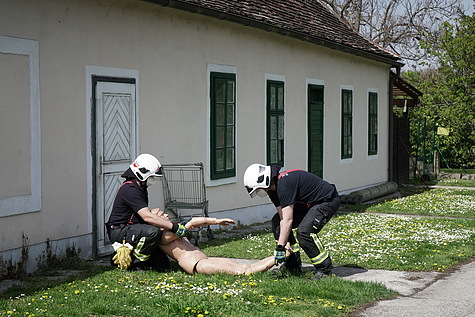 Bild 013 zum Bericht 2033