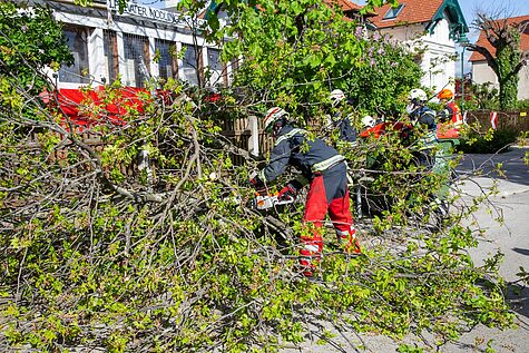 Bild 002 zum Bericht 2034